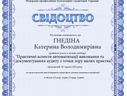 Участь в онлайн-вебінарі "Практичні аспекти автоматизації виконання та документування аудиту з точки зору малих практик"