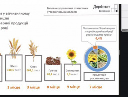 «Статистика сьогодні: трансформація, процеси, факти» – гостьова лекція від експерта ГУС у Чернігівській області